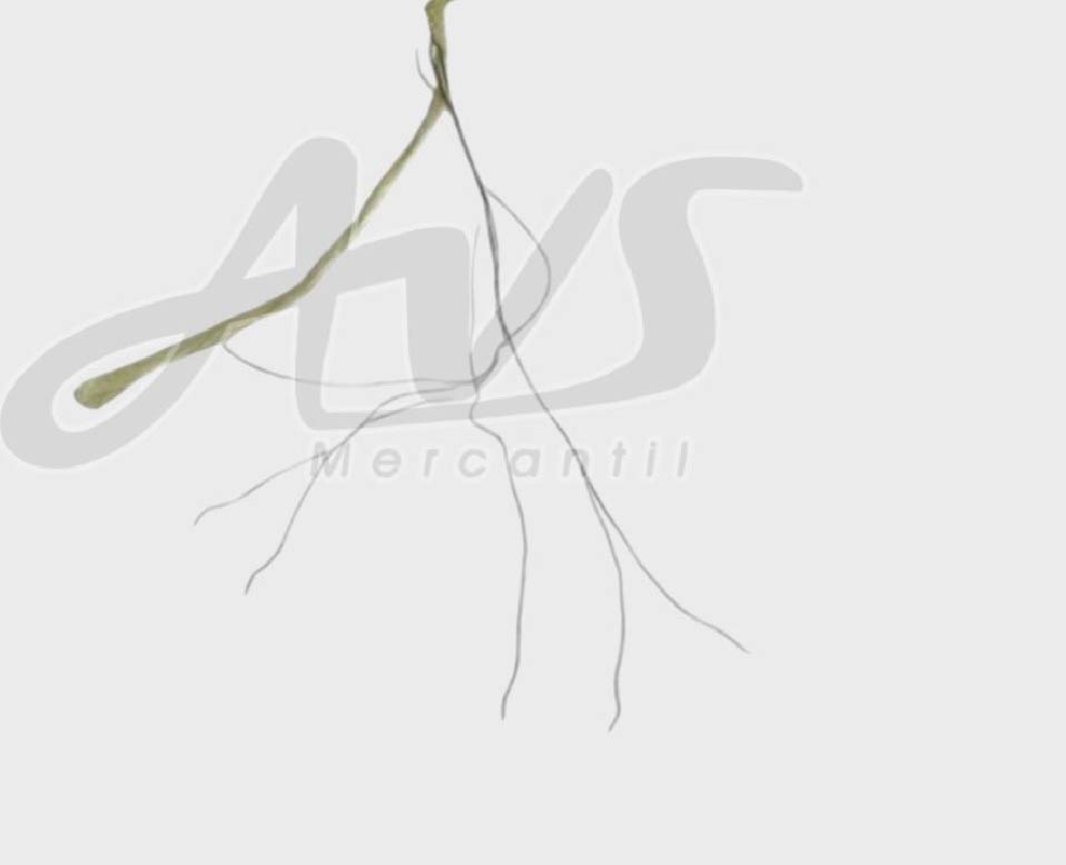 Foto produto: Linha de Costura de Aramida Reforçada com Aço INOX - AVS Mercantil